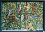 Image Paysages divers 13